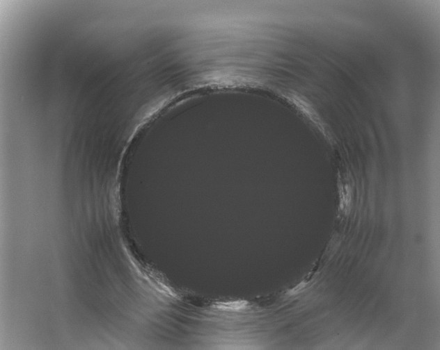 X0000066500488200604141726