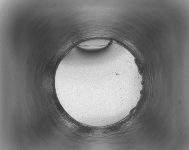 X0000066500489200604141726