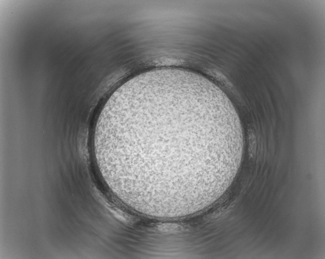 X0000066500490200604141726