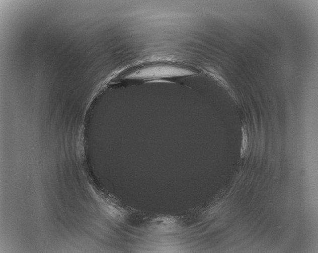 X0000066500492200604141726