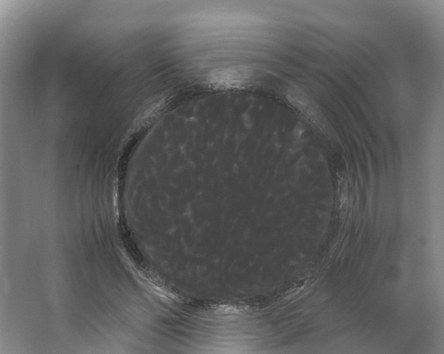 X0000066500494200604141726
