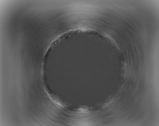 X0000066500496200604141726