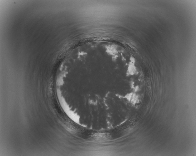 X0000066500499200604141726