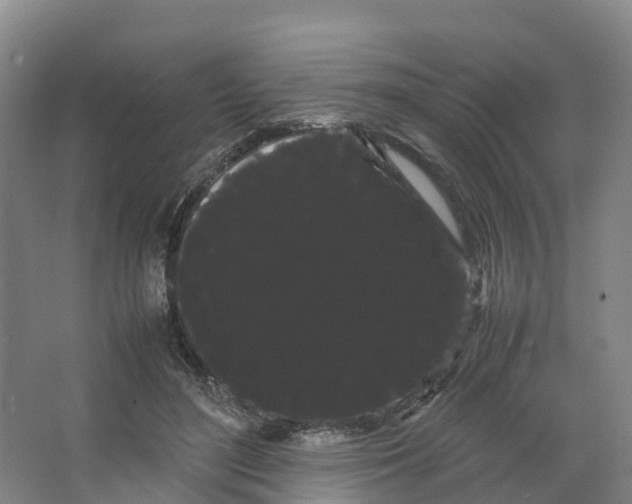 X0000066500500200604141726