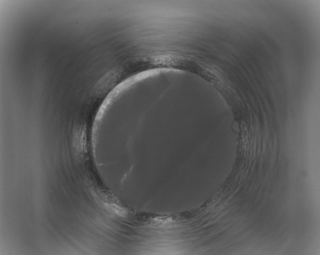 X0000066500502200604141726