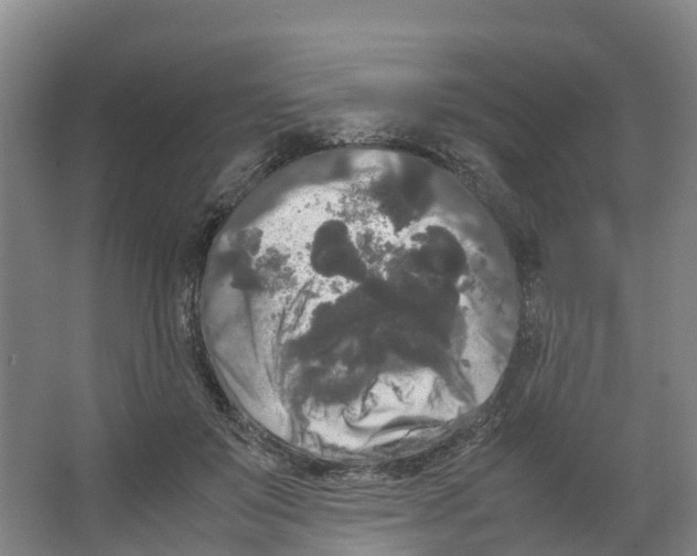 X0000066500503200604141726