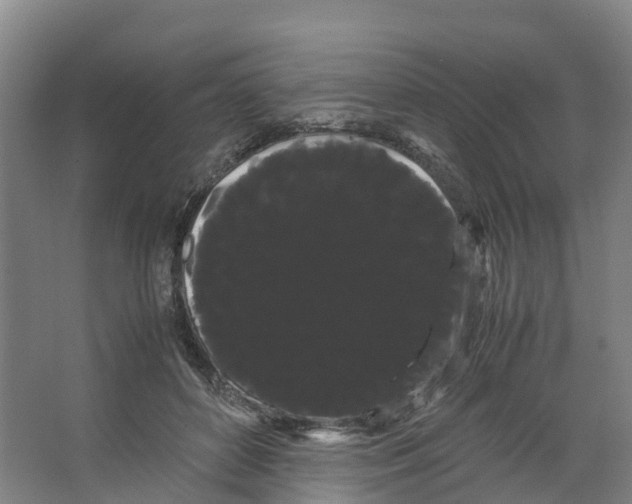 X0000066500504200604141726