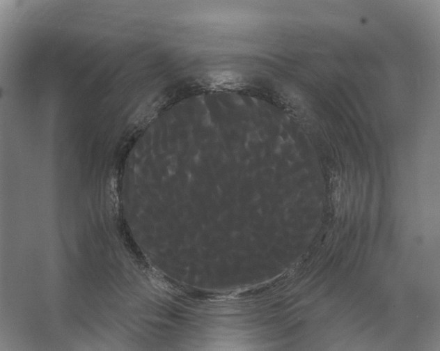 X0000066500506200604141726