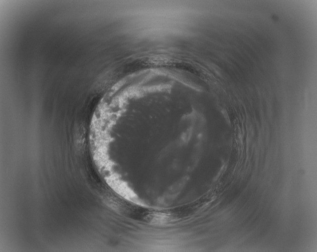 X0000066500507200604141726