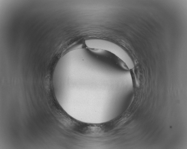 X0000066500509200604141726