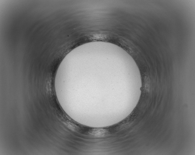 X0000066500514200604141726
