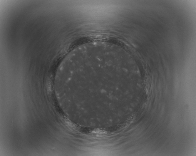 X0000066500515200604141726