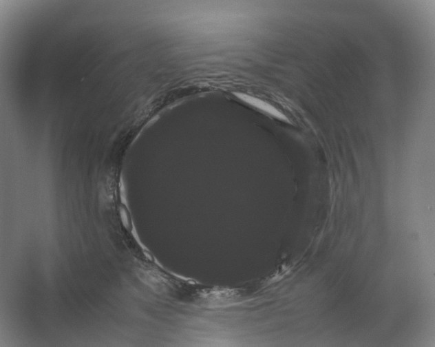 X0000066500517200604141726