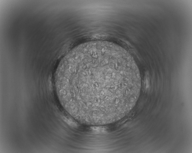 X0000066500520200604141726