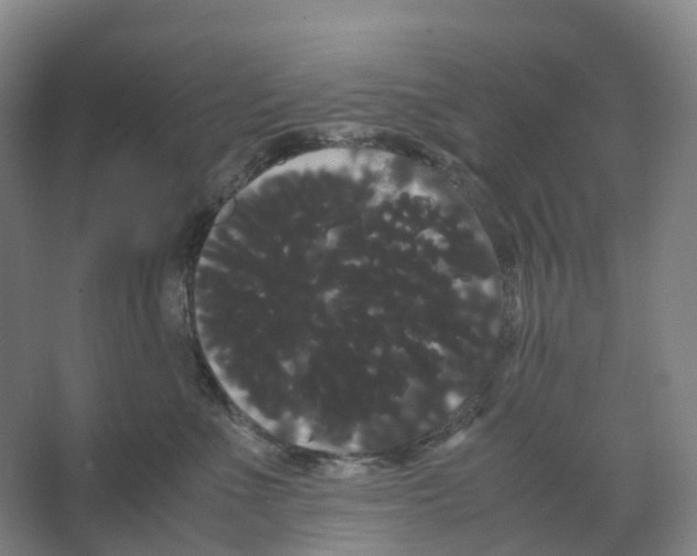 X0000066500523200604141725