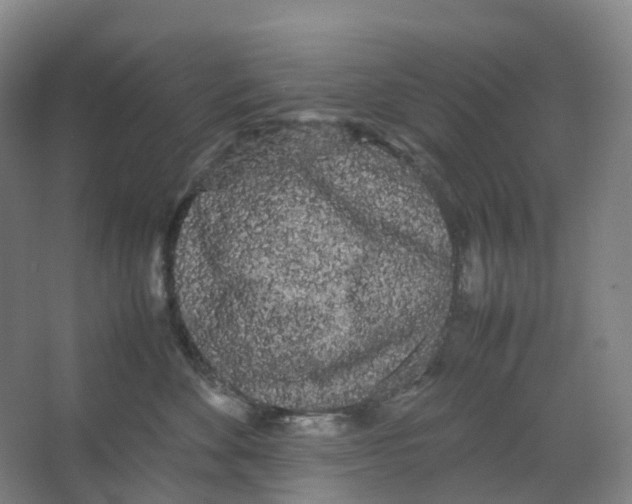 X0000066500524200604141725