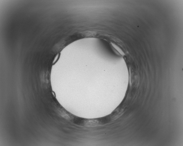 X0000066500525200604141725