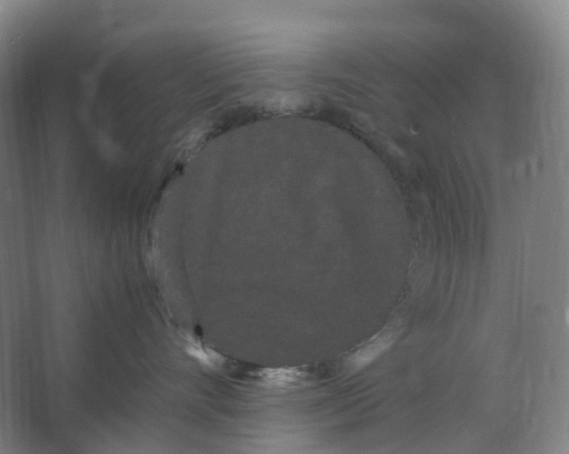 X0000066500528200604141725