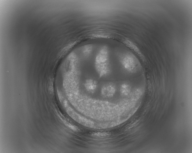 X0000066500537200604141725