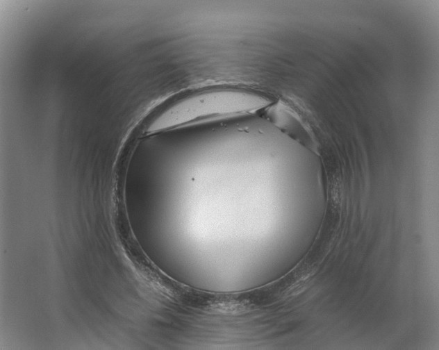 X0000066500540200604141725