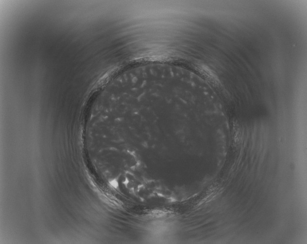 X0000066500542200604141725