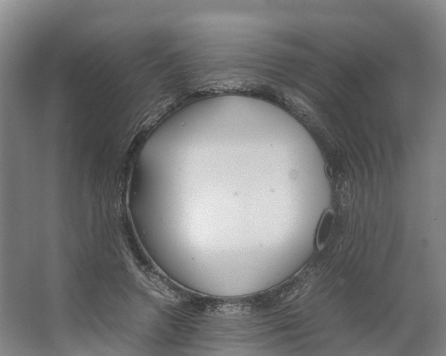 X0000066500546200604141725