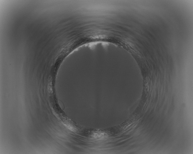 X0000066500547200604141725