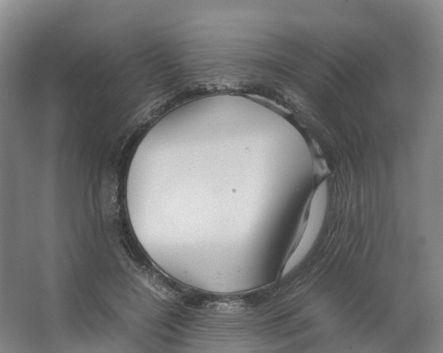 X0000066500548200604141725