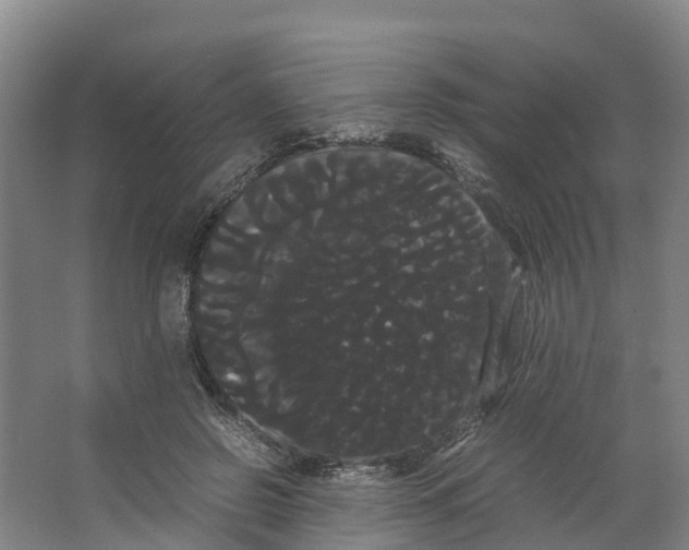 X0000066500550200604141725