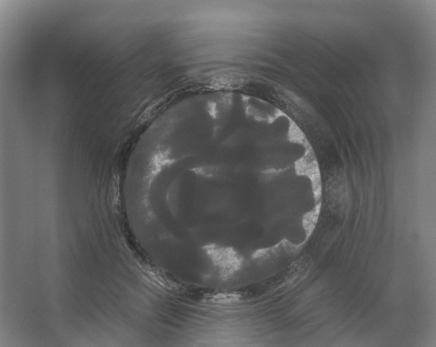 X0000066500554200604141725