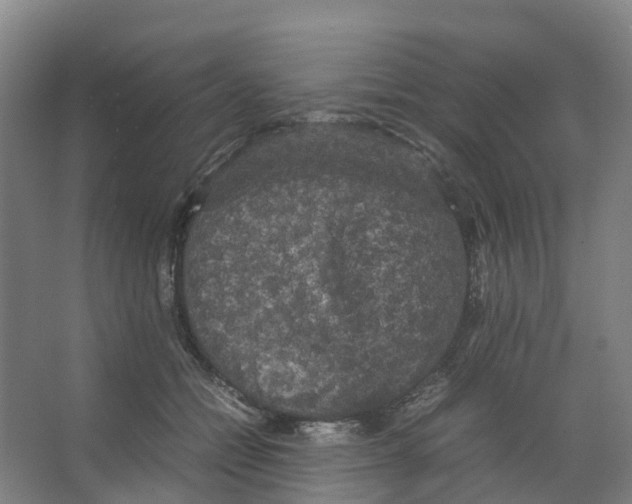 X0000066500558200604141725