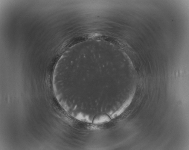 X0000066500565200604141725