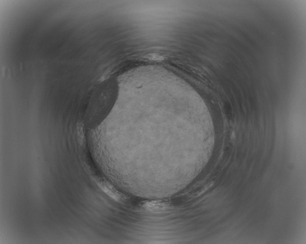 X0000066500568200604141725