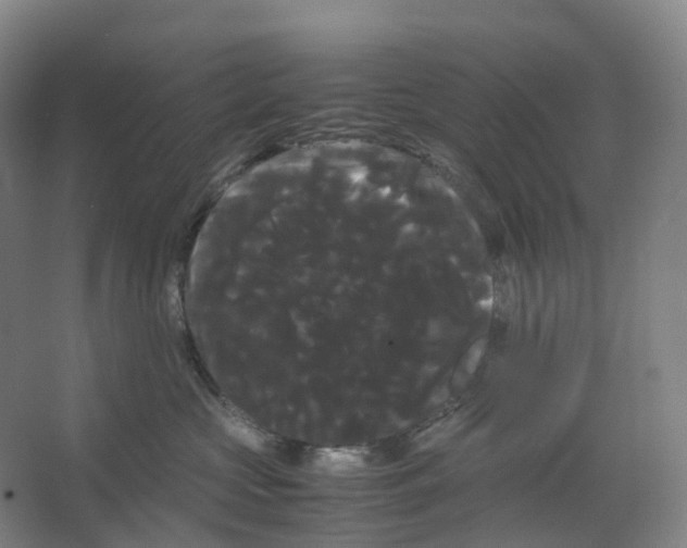 X0000066500573200604141725