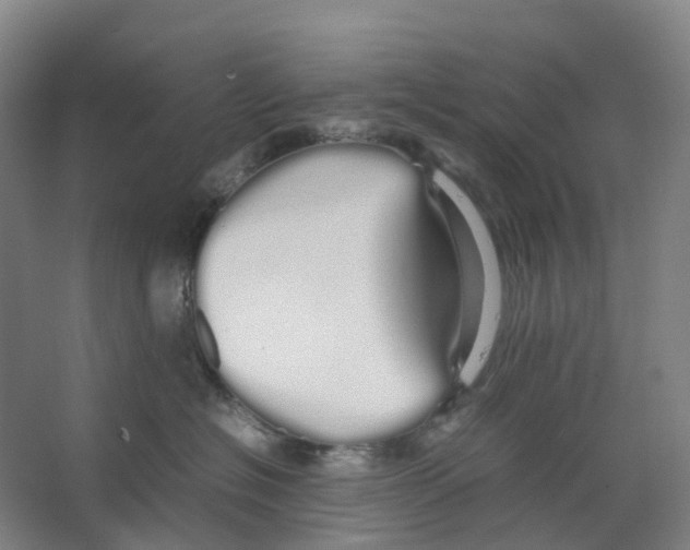 X0000066500574200604141725