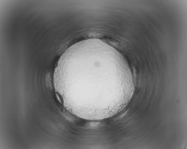 X0000066500575200604141725