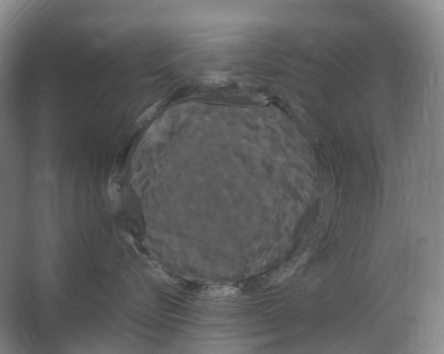 X0000066500576200604141725