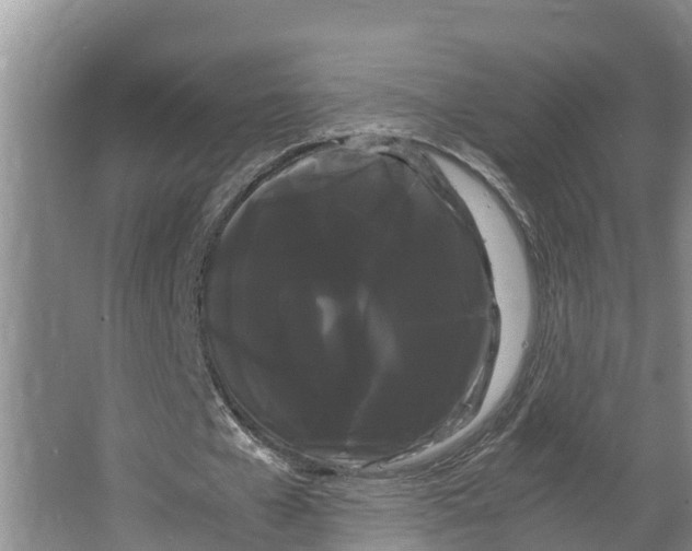 X0000066500577200604141725