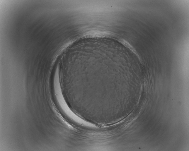 X0000066500581200604141724
