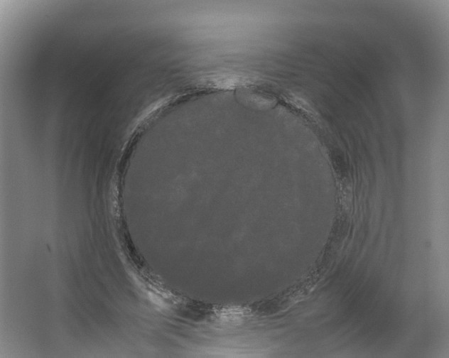 X0000066500587200604141724