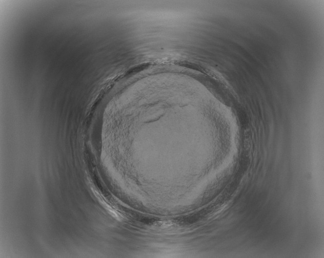 X0000066500589200604141724