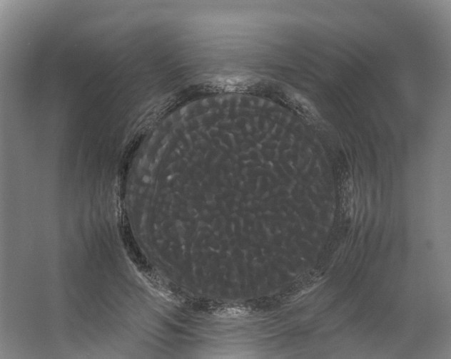 X0000066500594200604141724
