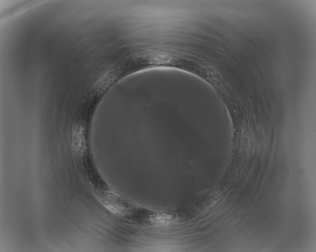 X0000066500598200604141724