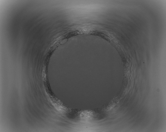X0000066500599200604141724