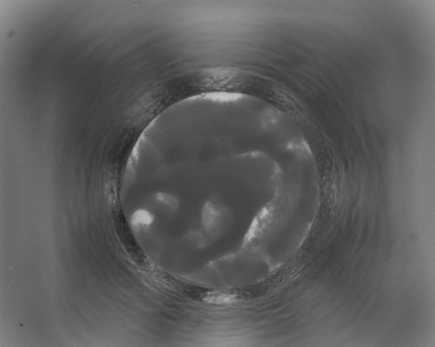 X0000066500602200604141724