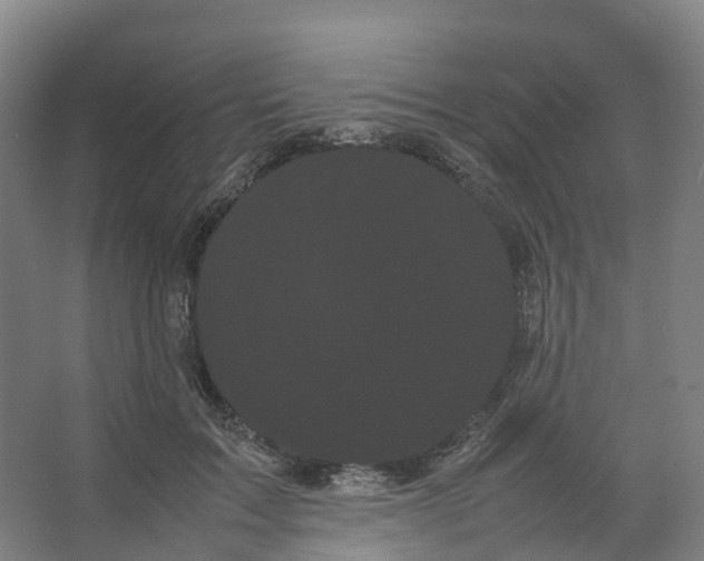 X0000066500603200604141724