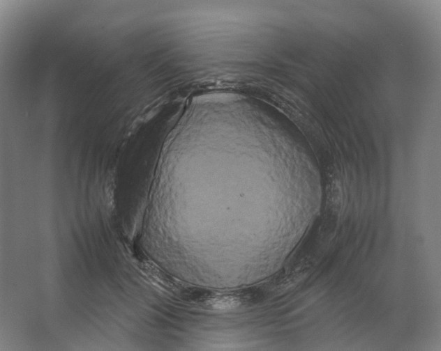 X0000066500604200604141724