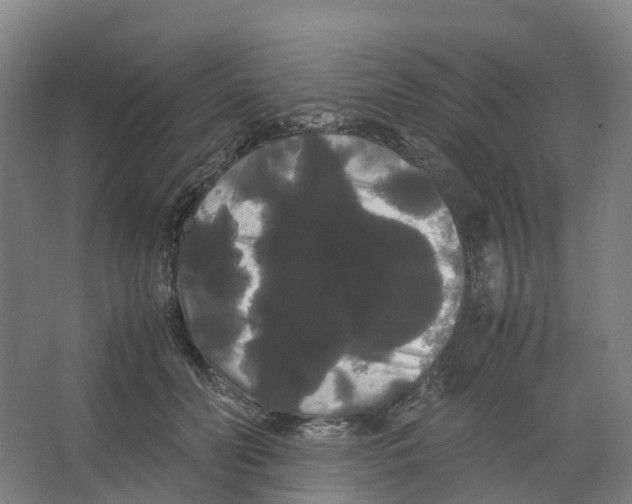 X0000066500606200604141724