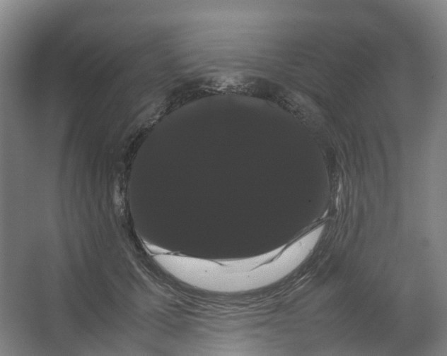 X0000066500607200604141724