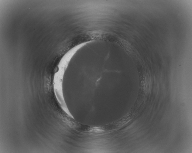 X0000066500610200604141724